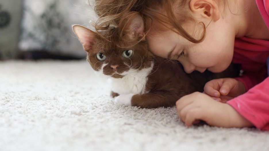 "Hormon miłości" odpowiedzialny za autyzm. Rewolucyjne odkrycie polskich naukowców