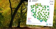 Anomalia w październiku. Polacy muszą być gotowi