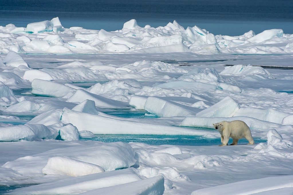 Rośnie liczba wyładowań atmosferycznych w Arktyce. To zła wiadomość dla naszej planety