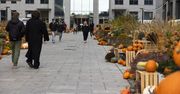 Kraków: Dynie w samym sercu miasta. Dekoracje jesienne na Halloween