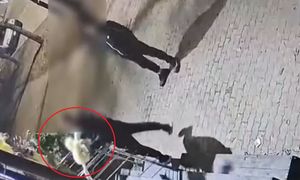 Ukradł kurę wartą 500 zł. Kamera wszystko pokazała