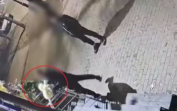 Ukradł kurę wartą 500 zł. Kamera wszystko pokazała