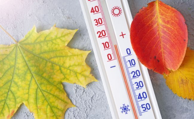 "Kwantowy" skok w głęboką jesień. Przed nami drastyczny spadek temperatur!