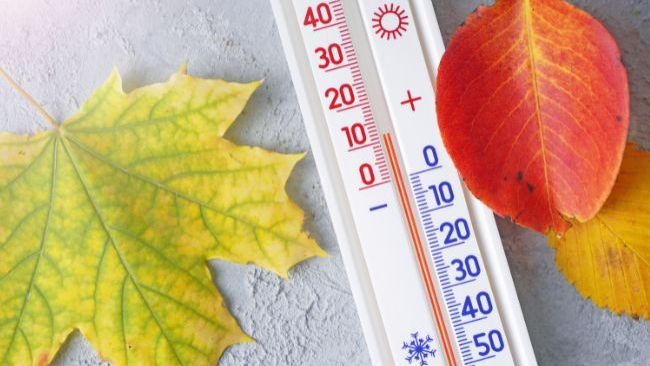 Spadek temperatury 