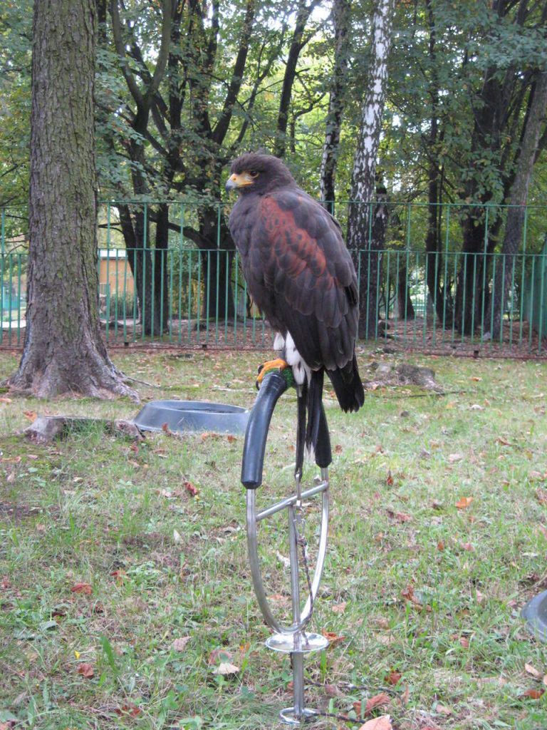 Śląski Ogród Zoologiczny w Chorzowie
