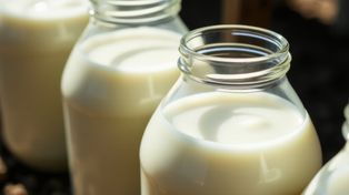 Seniorzy powinni pić takie mleko, a zwykle je omijają w sklepie. Wzmacnia kości i przynosi ulgę jelitom
