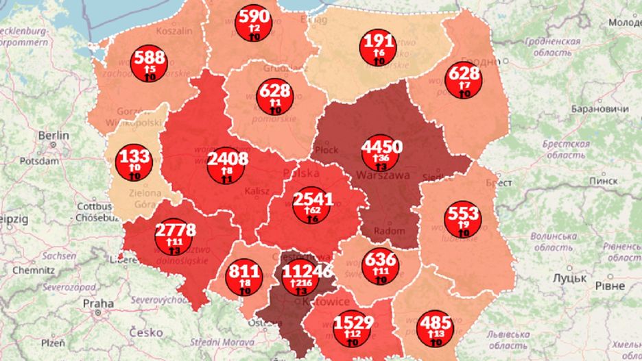 Koronawirus w Polsce. Aktualna mapa zarażeń