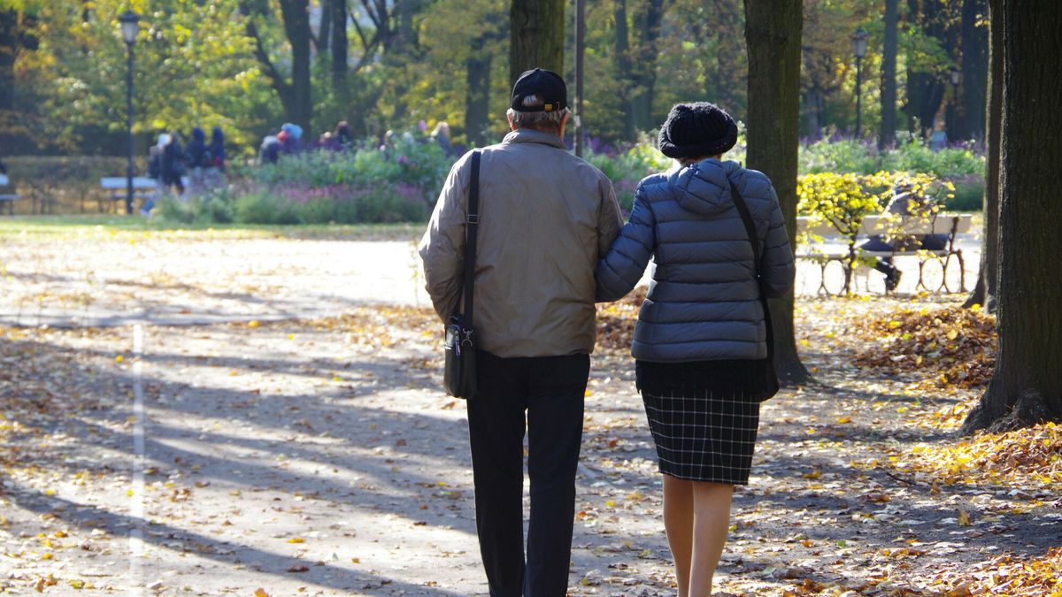 Warszawa Marek BazakFot. Zofia i Marek Bazak/East News, Warszawa, zlota polska jesien N/z jesienny spacer seniorow w Ogrodzie SaskimZOFIA BAZAK