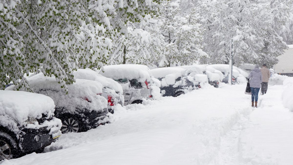 Czy Boże Narodzenie będzie białe?