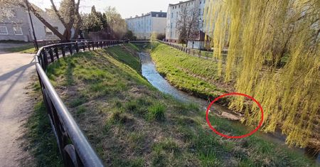 Prezydent pokazał zdjęcia. "Realne zagrożenie"