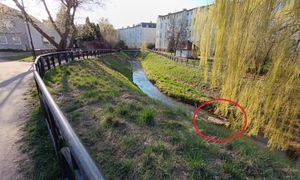 Prezydent pokazał zdjęcia. "Realne zagrożenie"