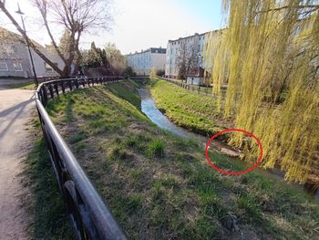 Prezydent pokazał zdjęcia. "Realne zagrożenie"