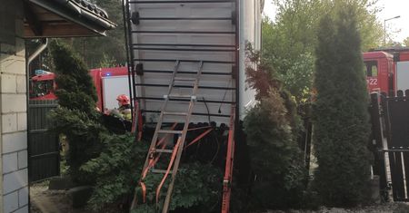 Zadziwiający widok w ogrodzie. Po chwili zrozumieli, co się stało