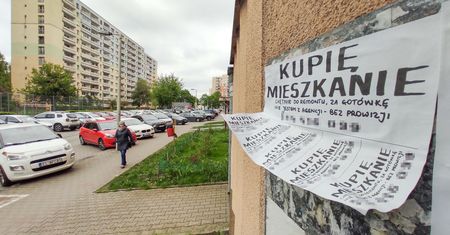 Dostęp do danych z Rejestru Cen Nieruchomości bezpłatny. Sejm podjął decyzję
