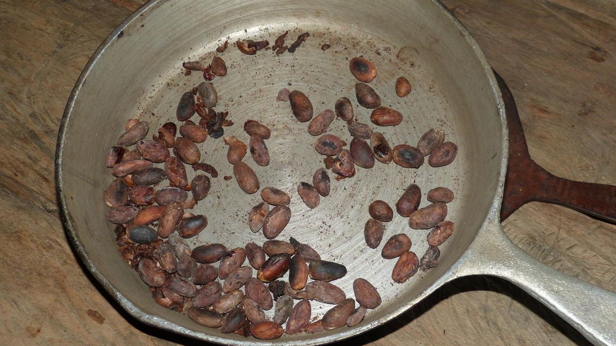 Ziarna kakaowca obniżają poziom cholesterolu, chronią serce i układ nerwowy