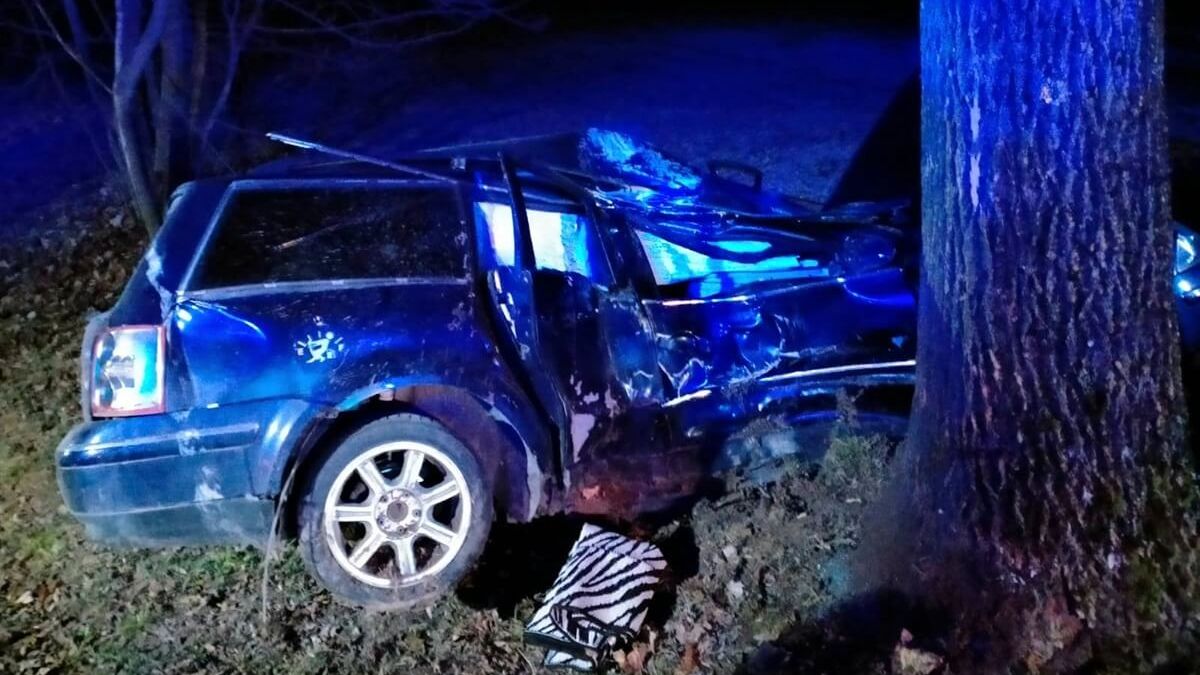Volkswagen uderzył w drzewo w Maciejowie Starym