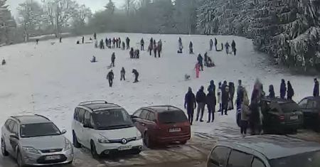 Schronisko apeluje o jedno. "Nie możemy non stop pilnować"