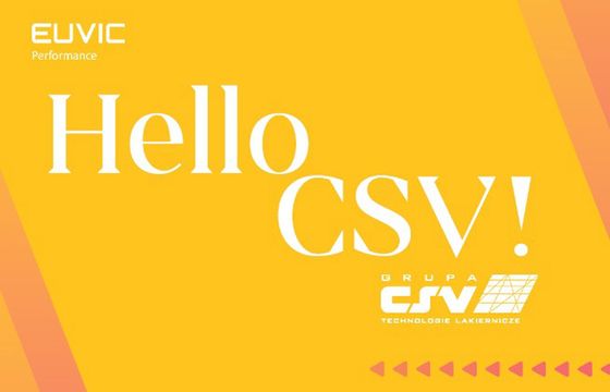 Euvic Digital dla Grupy CSV
