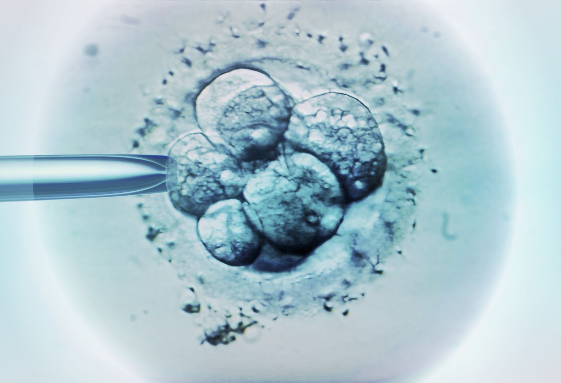 Para z Florydy pozywa klinikę in vitro