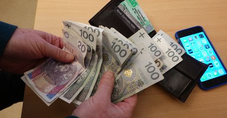 Likwidacja OFE uszczupli finanse publiczne o prawie 7 miliardów. Rząd podliczył skutki