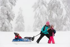 Ferie zimowe 2019 - ferie zimowe w poszczególnych województwach oraz pozostałe dni wolne w 2019 roku