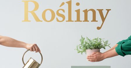 Rośliny do cienia – wybór gatunku i pielęgnacja roślin cieniolubnych