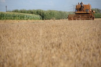 Rolnik emeryt. Oto jaką emeryturę dostanie po 25 latach pracy