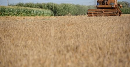 Rolnik emeryt. Oto jaką emeryturę dostanie po 25 latach pracy
