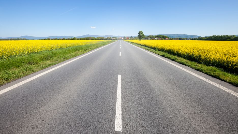 Asphalt road among the summer field. Beautiful countryside landscape
Photographer: Nickolay Khoroshko
road, field, asphalt, green, landscape, spring, nature, country, sky, rural, blue, summer, land, outdoor, countryside, empty, side, view, grass, highway, day, sunny, agriculture, meadow, horizon, tree, background, way, transport, trip, perspective