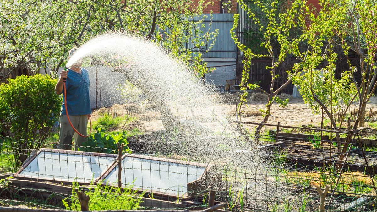 podlewanie ogrodu