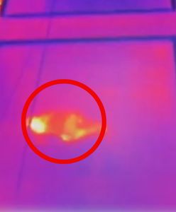 Departament Stanu o zatrzymanym Amerykaninie. "Najwyższy priorytet"