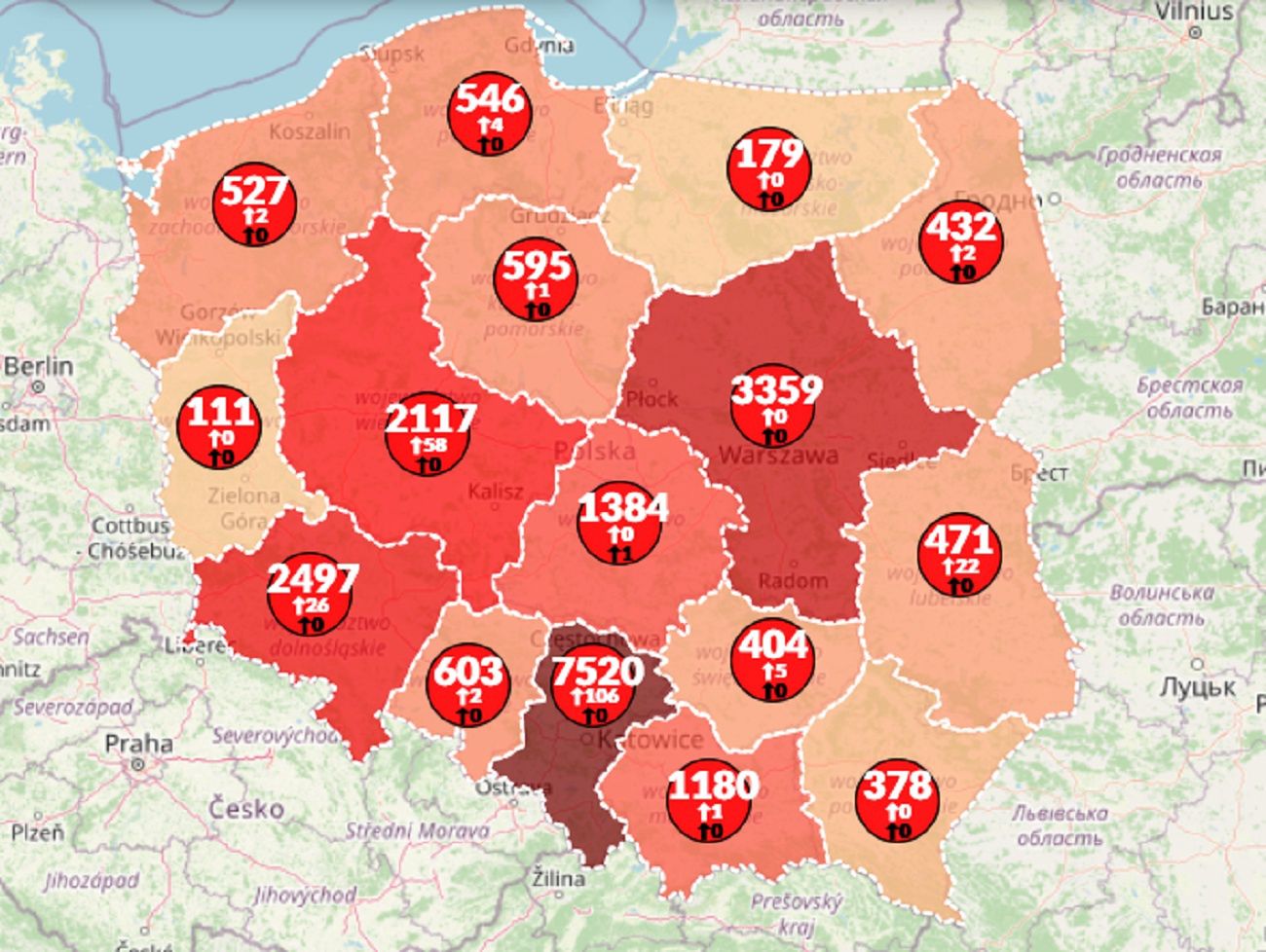 Koronawirus w Polsce. Aktualna mapa zarażeń