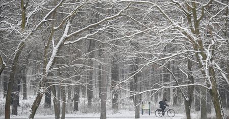 Pogoda w Warszawie w niedzielę 17 stycznia. Zimy ciąg dalszy, czeka nas mróz