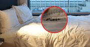 Sprawdził łóżko w pokoju hotelowym. Niewiarygodne, co się tam gnieździło