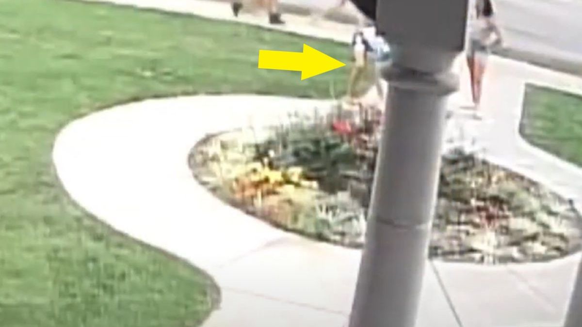 Hokeista namalował swastykę na budynku