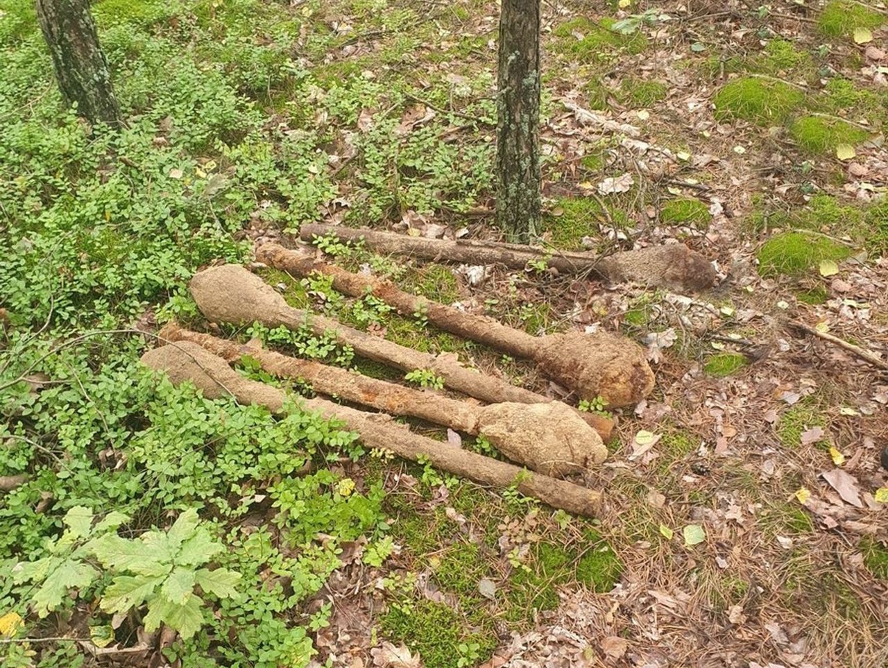 Chorchosy: Spacerowicze znaleźli w lesie sześć panzerfaustów. Konieczne było wezwanie saperów
