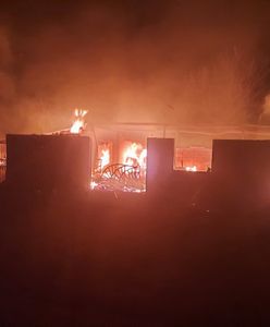 Oleśnica. Pożar zniszczył sens życia i źródło utrzymania pana Zbyszka. Przyjaciele chcą pomóc odbudować jego pasiekę