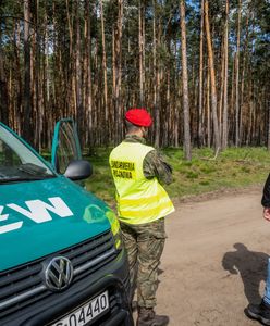 Coś wybuchło w lesie pod Radomiem. Jest oficjalny komunikat