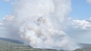 Groźny pożar lasu w powiecie wołomińskim. Na miejscu 65 zastępów straży pożarnej i śmigłowiec Black Hawk