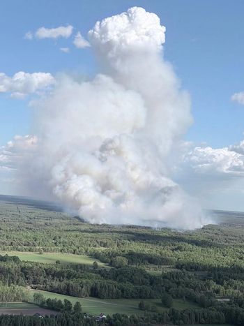Groźny pożar lasu w powiecie wołomińskim. Na miejscu 65 zastępów straży pożarnej i śmigłowiec Black Hawk
