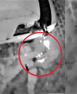 Dintojra w Czechach. Tak się mścił, że aż się poranił