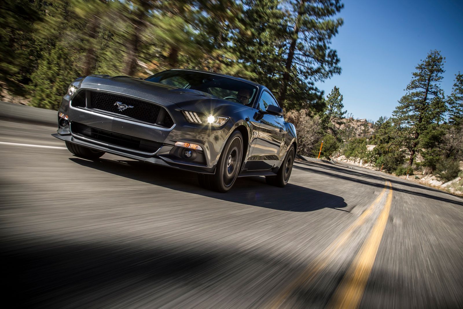 Zobacz Forda Mustanga 2015 na 100 nowych zdjęciach! 11