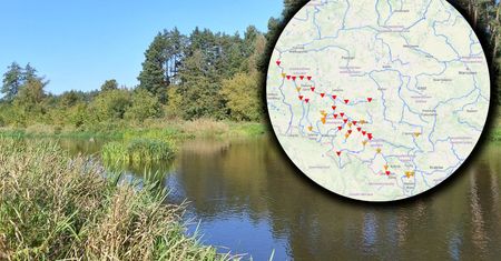 Stan alarmowy na 25 stacjach. IMGW ostrzega przed powodzią