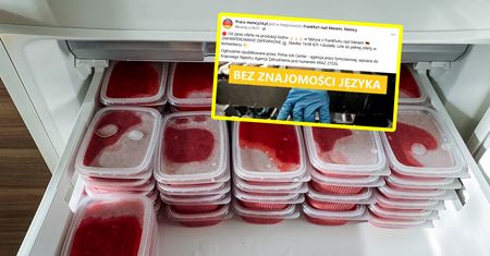 Tyle płacą Niemcy. Polacy aż się rzucili. Lawina ochotników