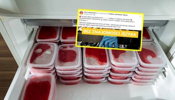 Tyle płacą Niemcy. Polacy aż się rzucili. Lawina ochotników