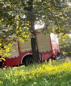 Warszawa. Trucizna w wodzie Glinianek Szczęśliwickich. Kaczki uratowane