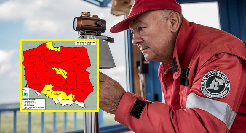 Polska na trzecim miejscu w Europie. "Dramatyczna sytuacja"