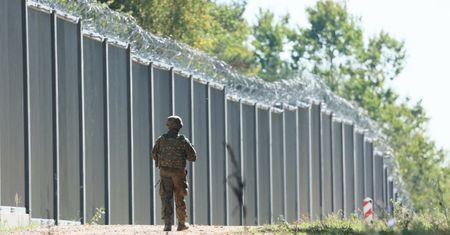 Akcja służb na Podlasiu. Schwytano dziewięciu migrantów