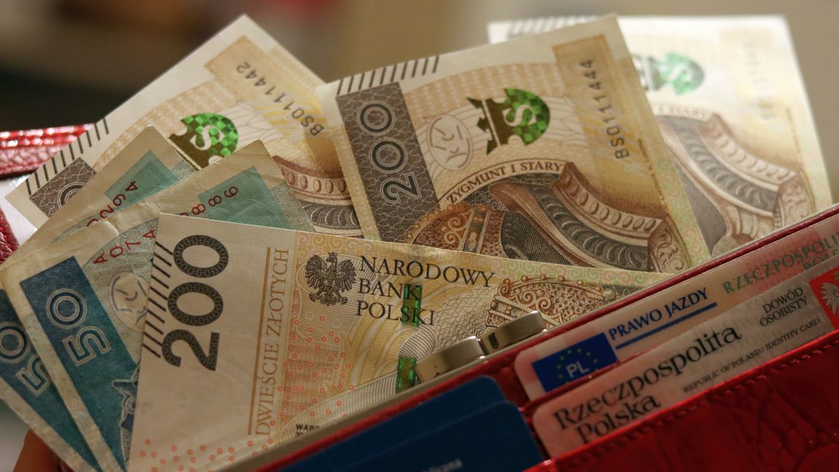 Na zdjęciu portfel wypełniony banknotami dwustu- i pięćdziesięciozłotowymi