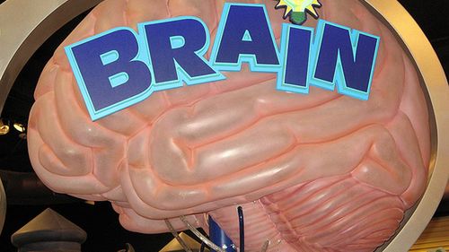 Mózg zamiast pilota od telewizora? 1